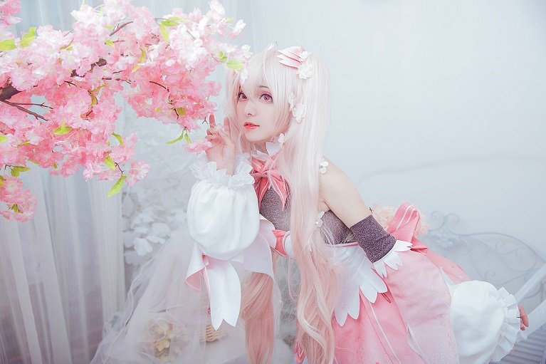 斯文文文文_全部写真作品合集