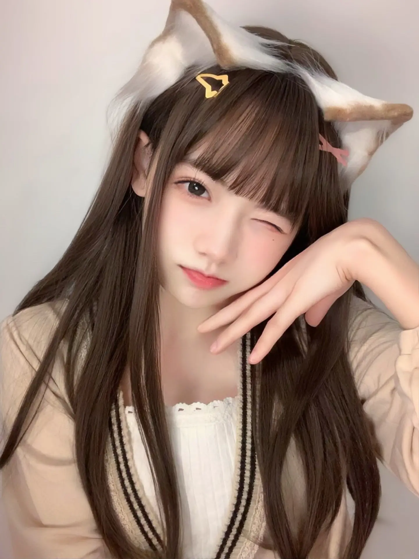 55bc6049fed54f51acf140e396694e00_q75