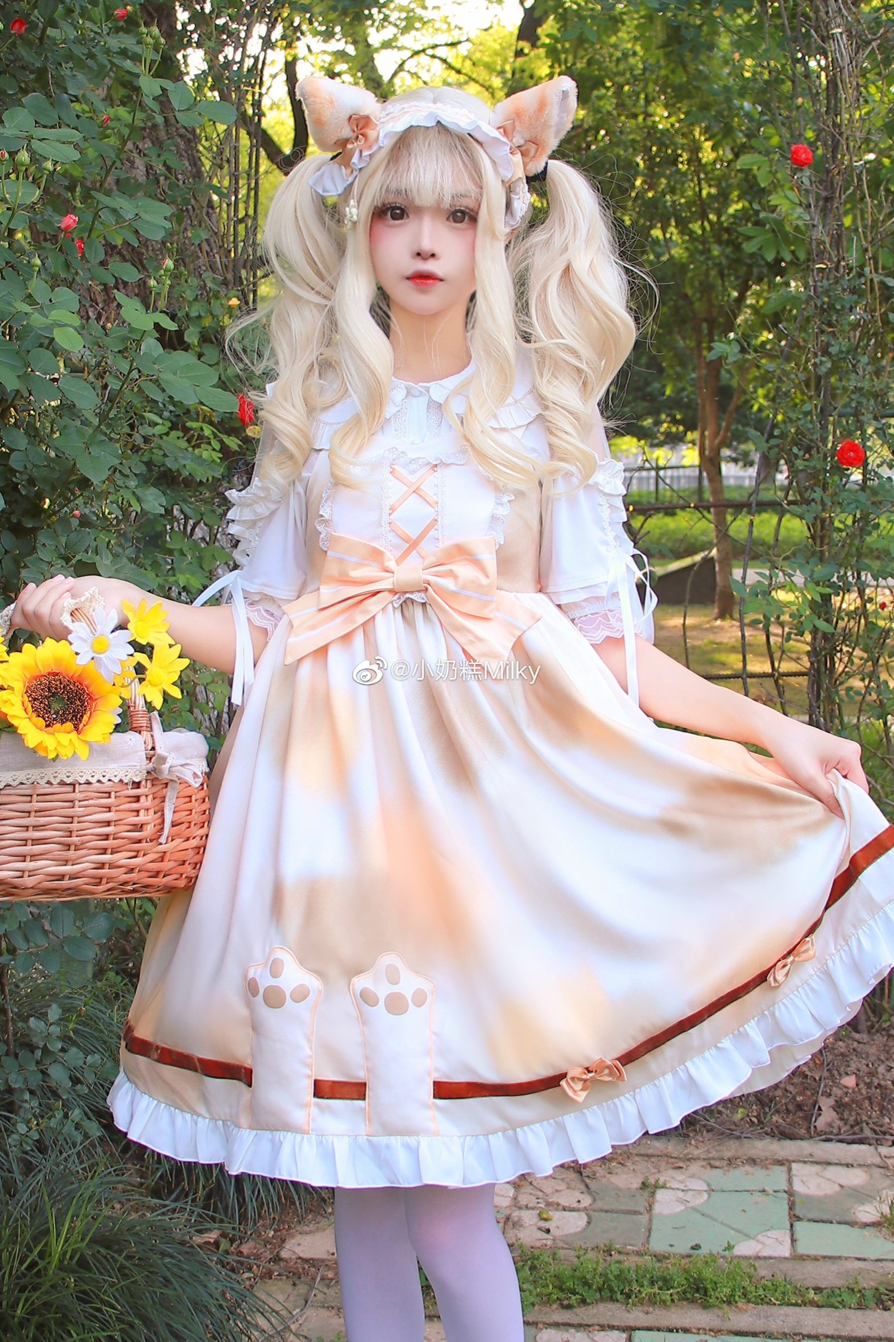 006iiTvtgy1h1idsoazs5j31dv22ux6p