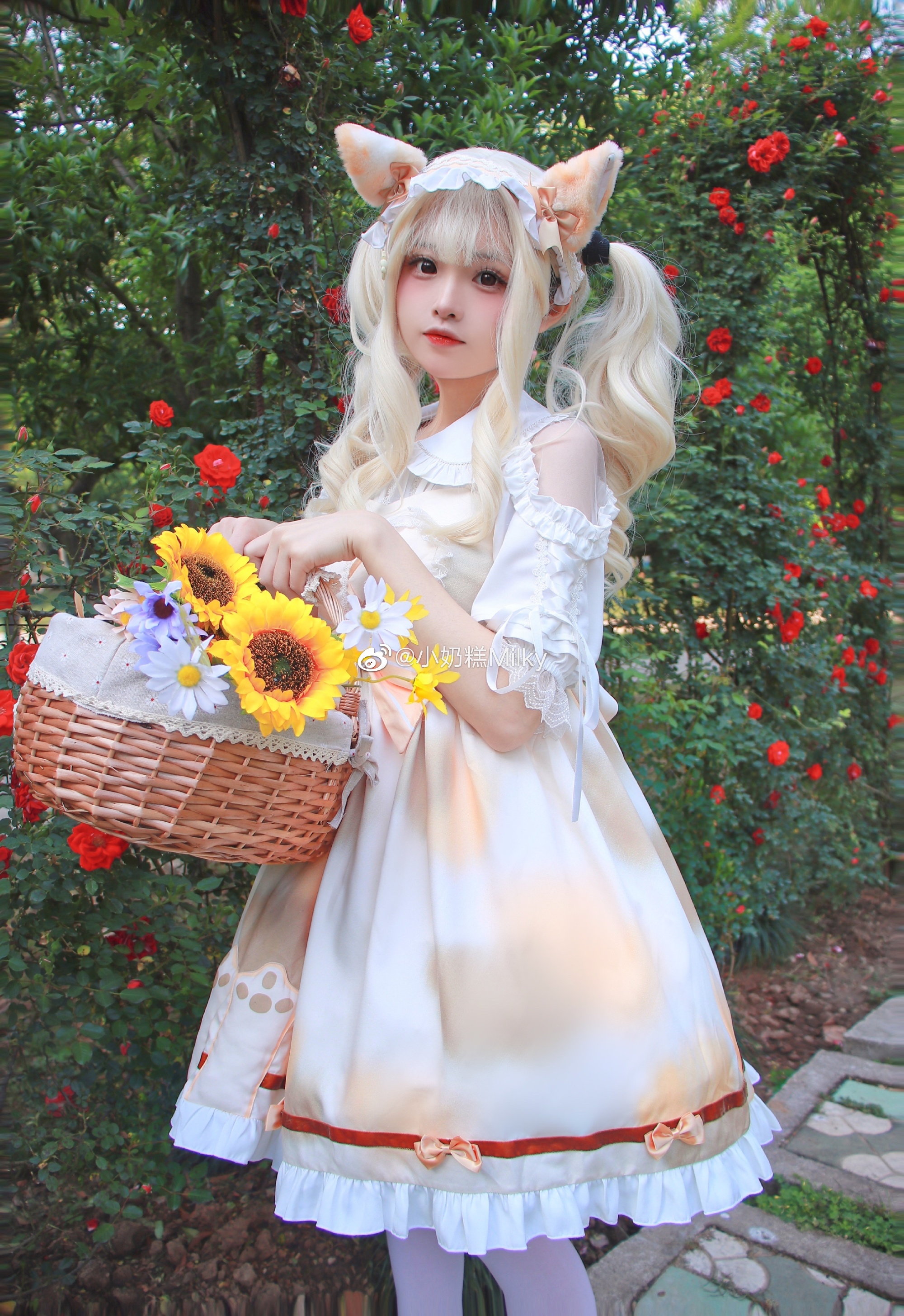 006iiTvtgy1h1idsrkhtyj323u32eqv6