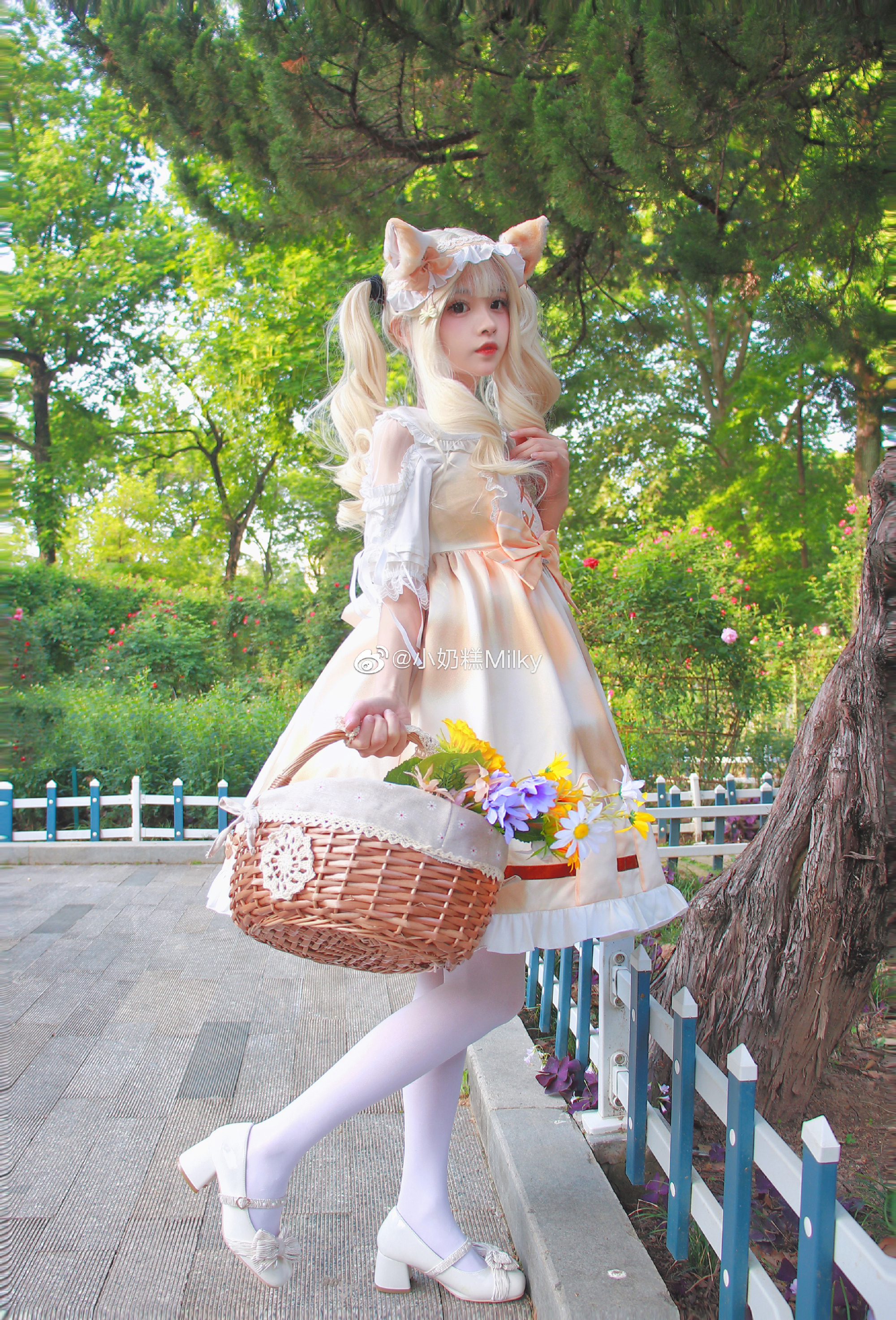 006iiTvtgy1h1idt09mknj31vo2rp7wk