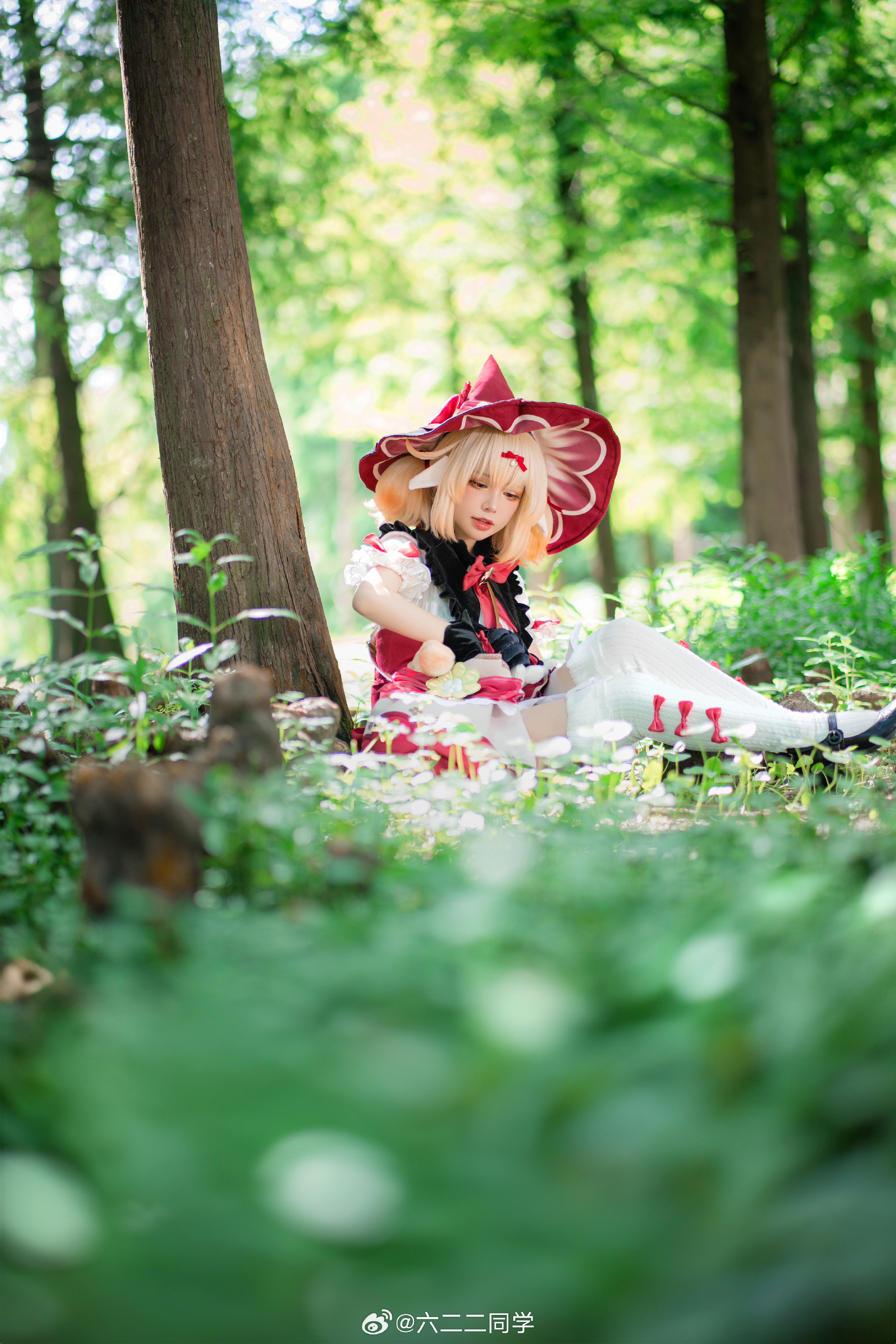 6e7ad70fgy1hh7prkx3taj223w35su0z