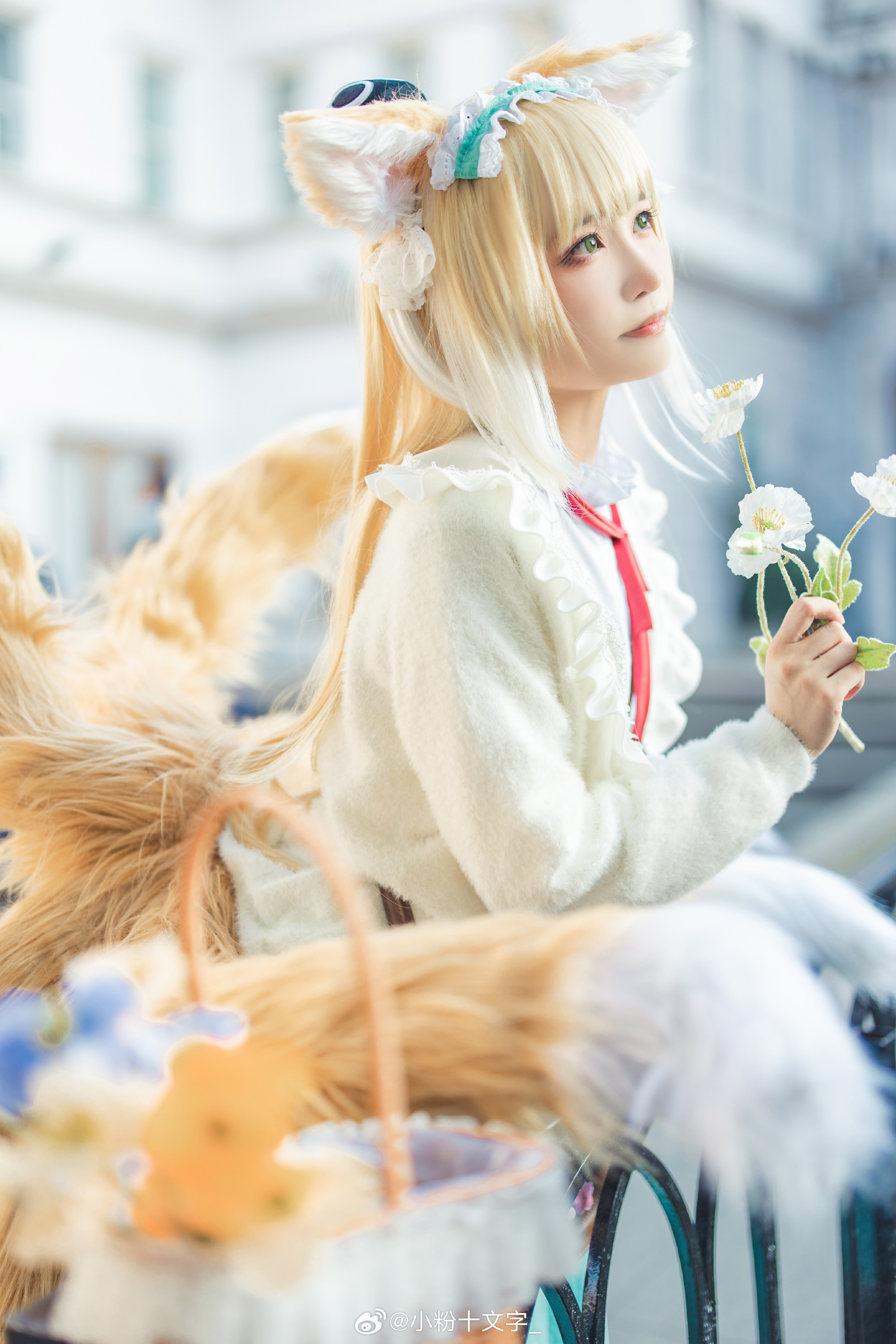 a869e145gy1hipdc6rqgwj22tc480kjm a869e145gy1hipdc6rqgwj22tc480kjm