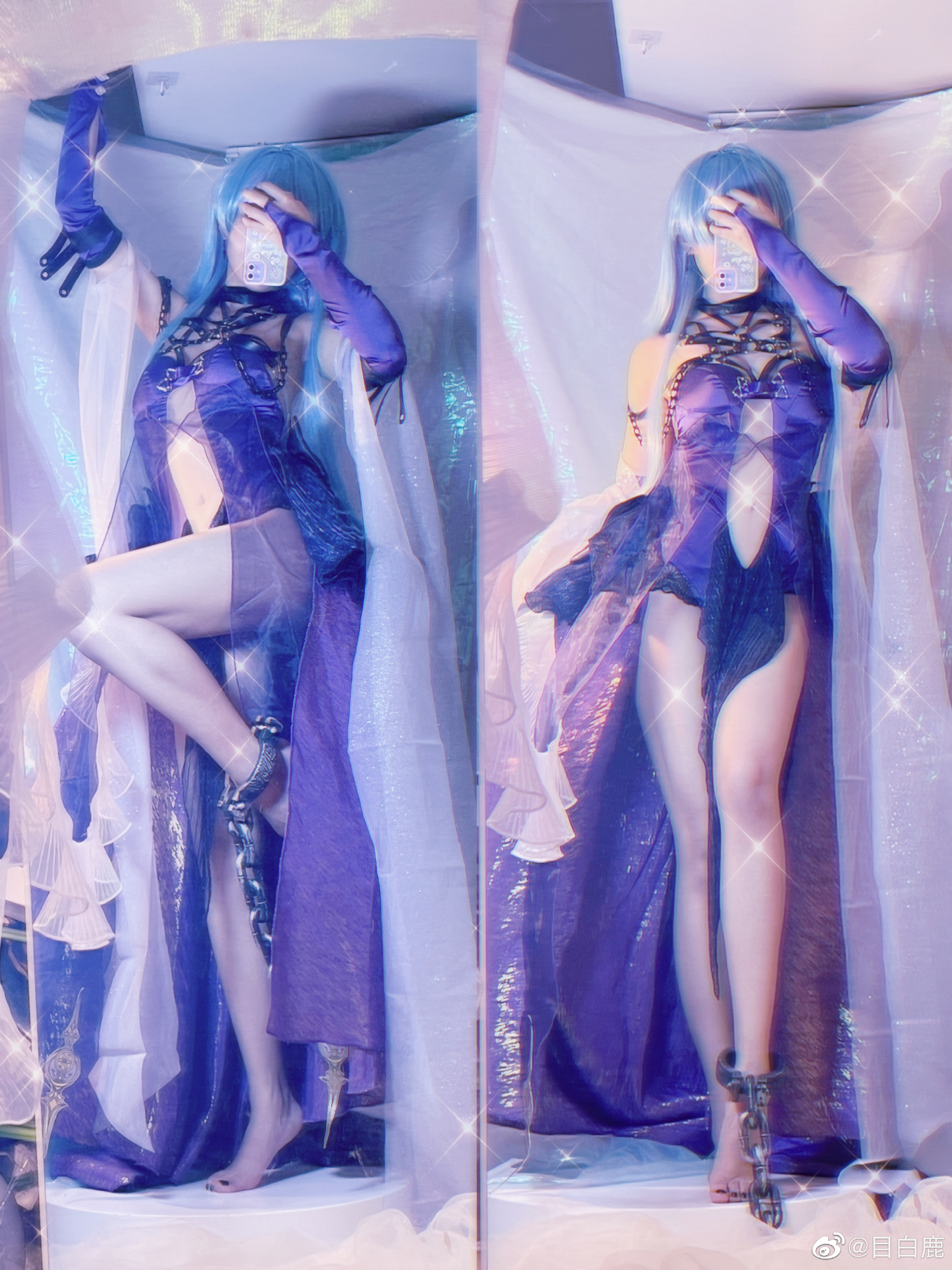 巷子里的猫很自由，却没有归宿