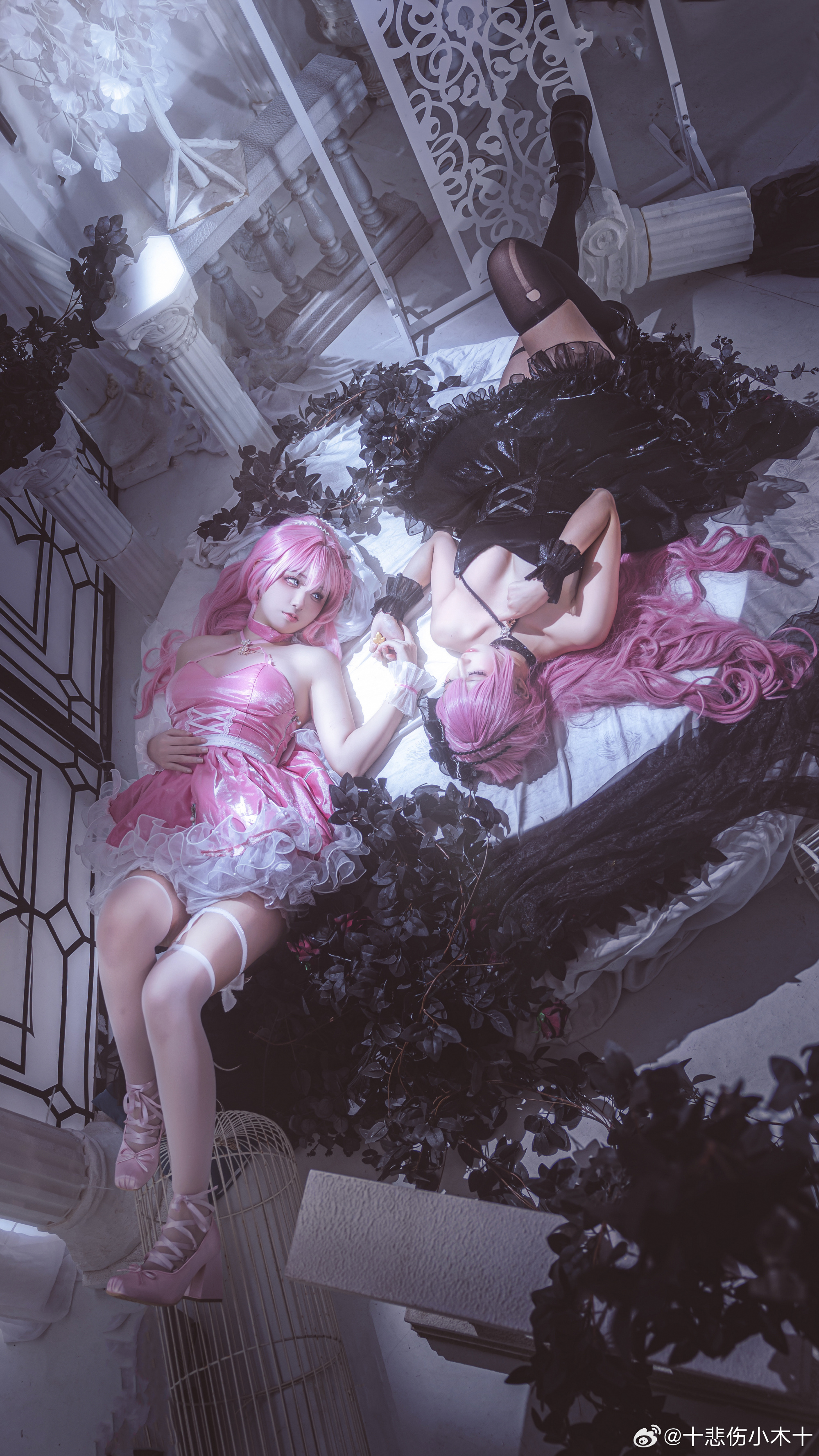 0080Eu4Wgy1ho0x3h6q37j32c545l4qs