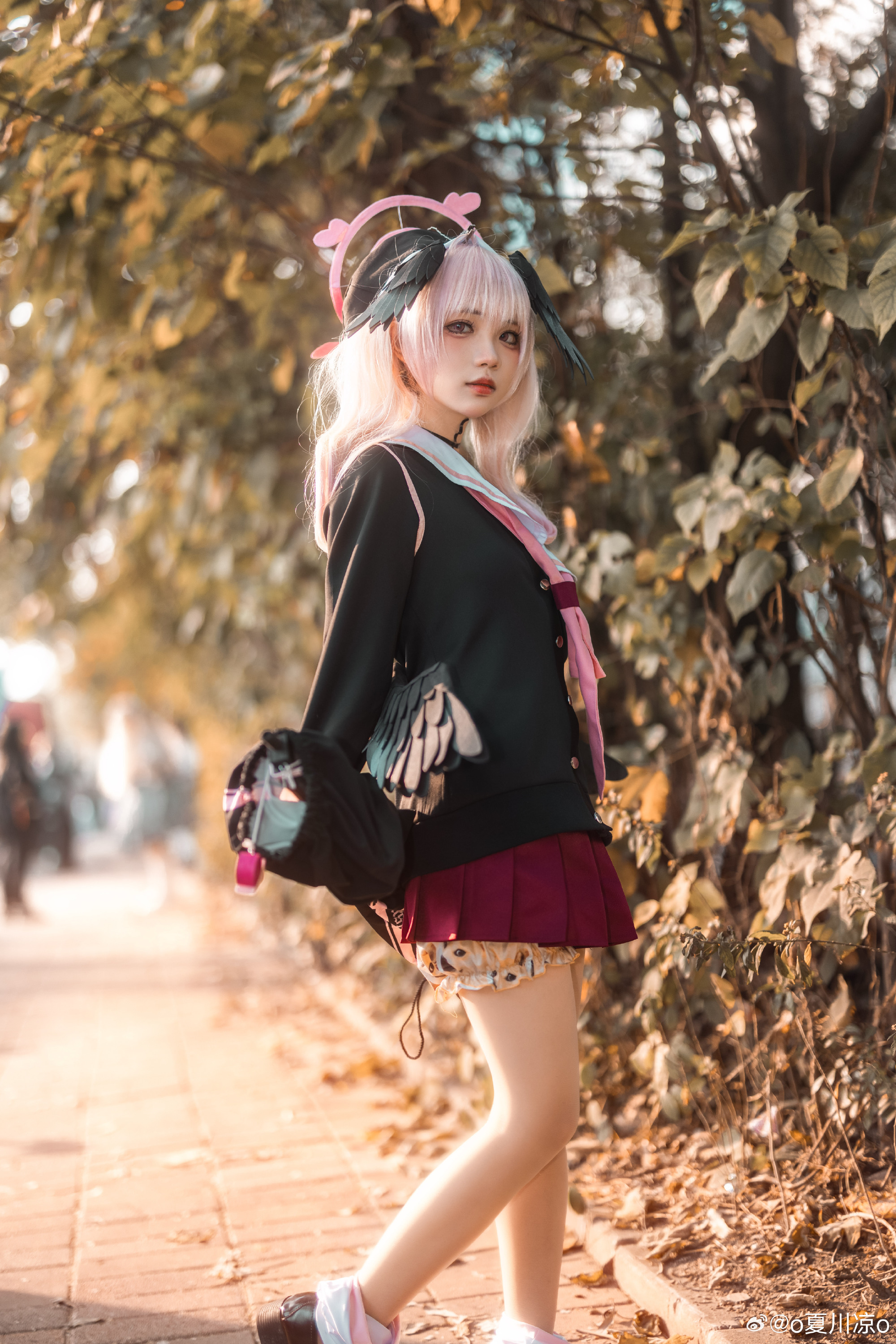 536cc60bgy1hlhhgopketj247s6bke88