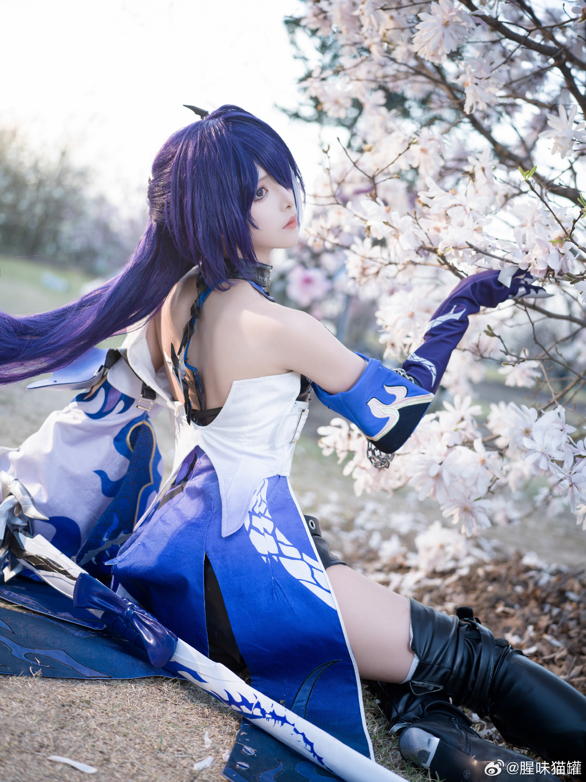 6fee5b71gy1ho5dkpf83sj22dc35s1l0