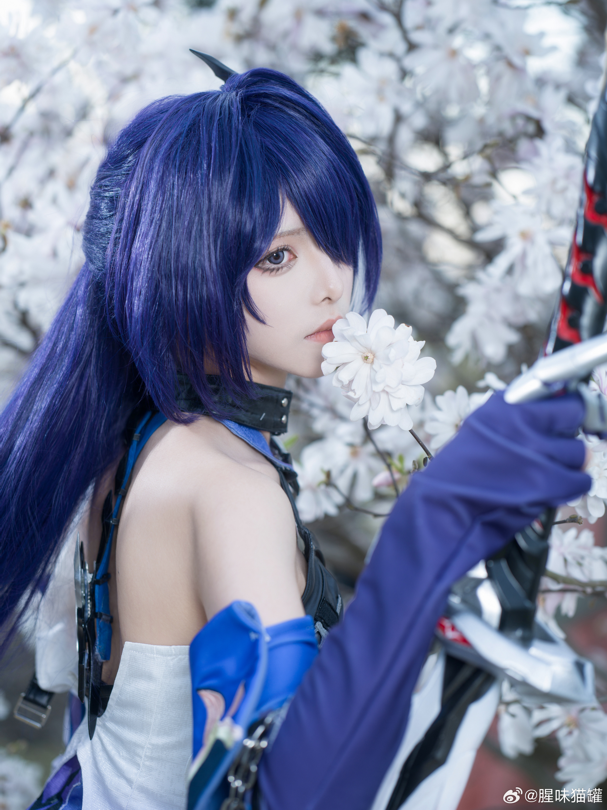 6fee5b71gy1ho5dssif77j2334445b2e