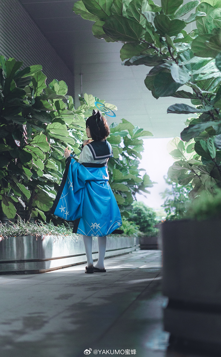 6c5b7483gy1hp1wbkl2qoj20pv15okax