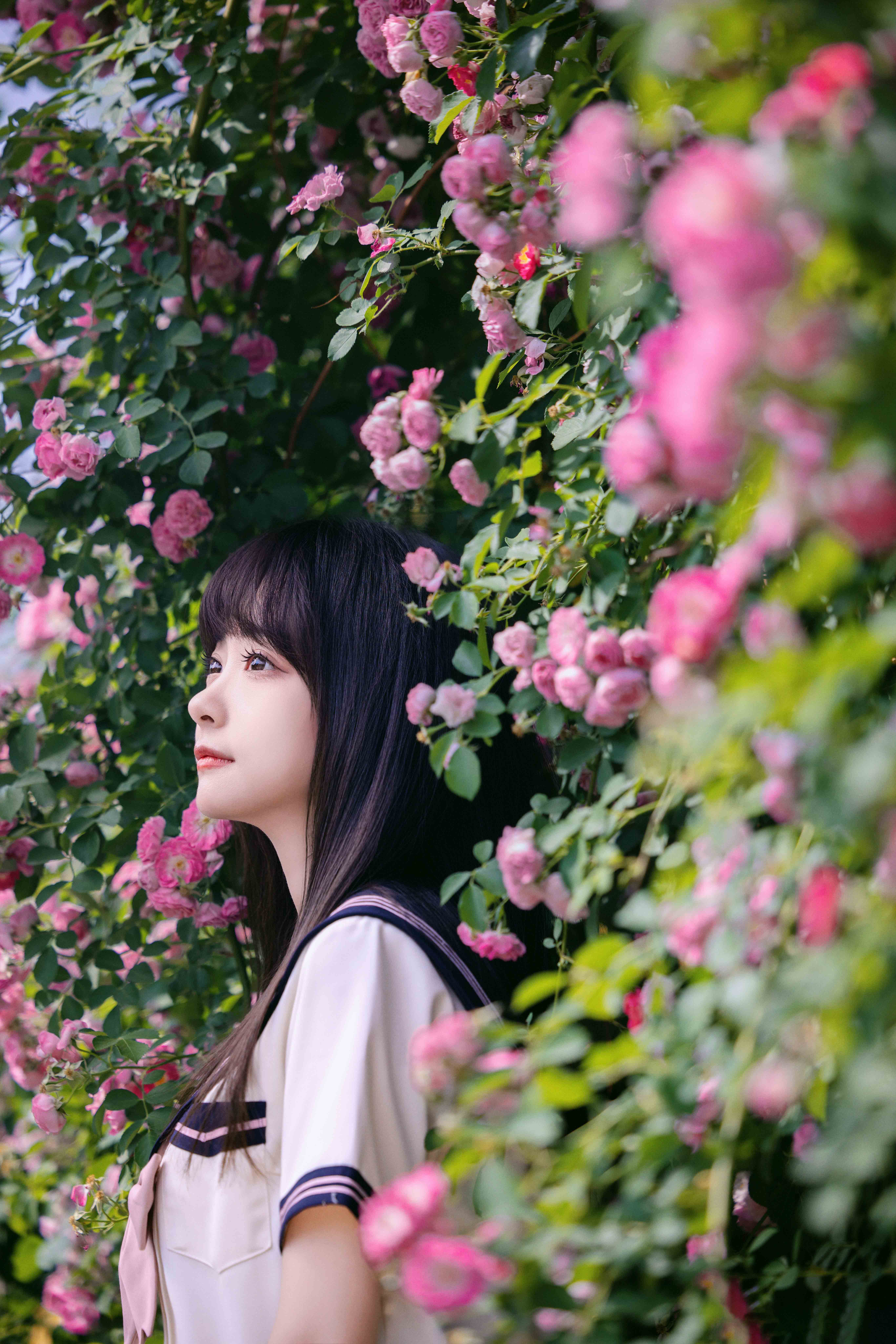 2dd43019d120240604151001