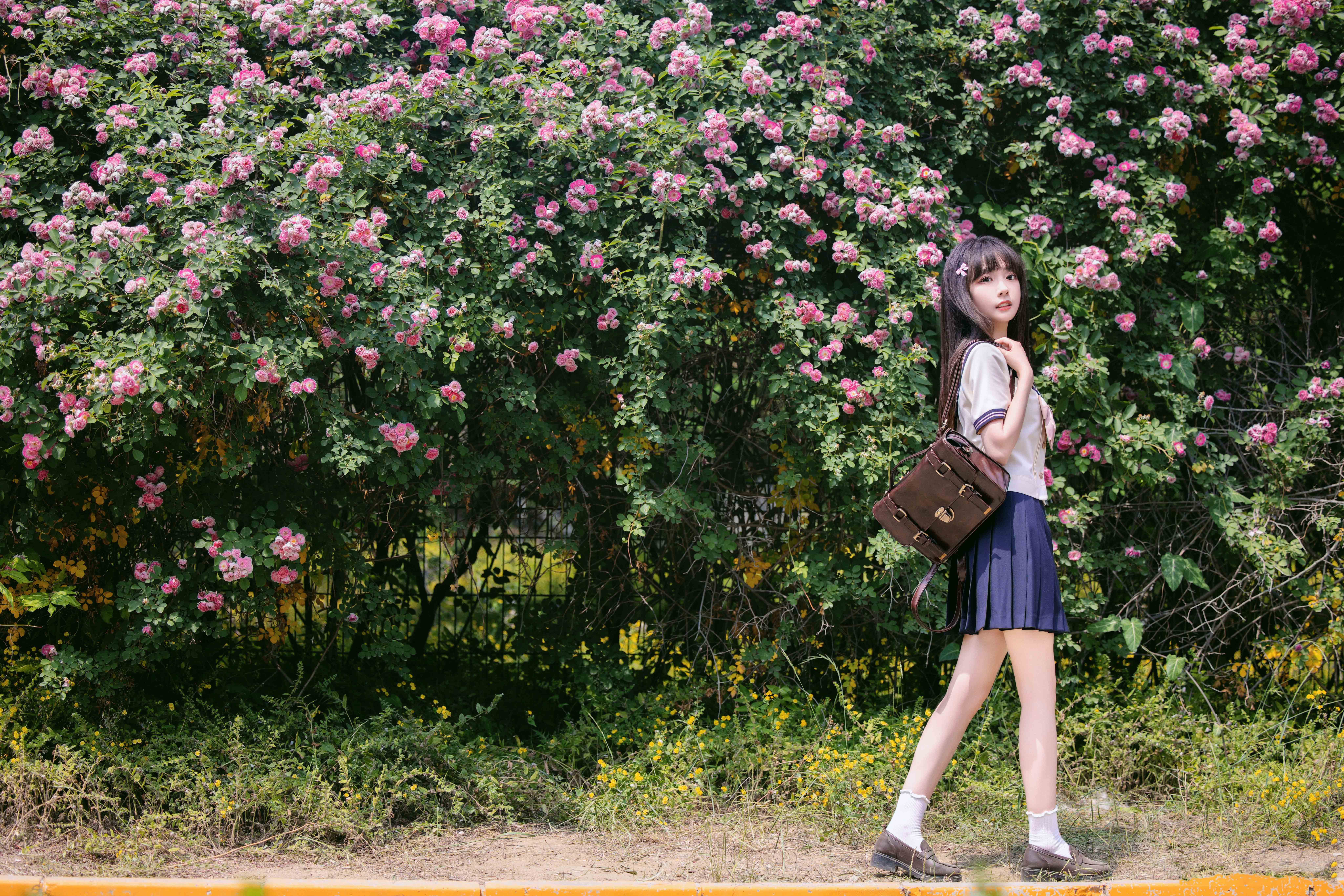 3375dba12120240604150954