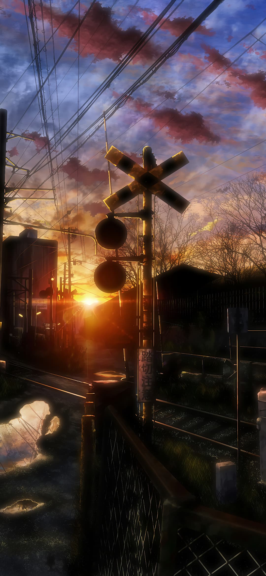 20240926155929493 20240926155929493