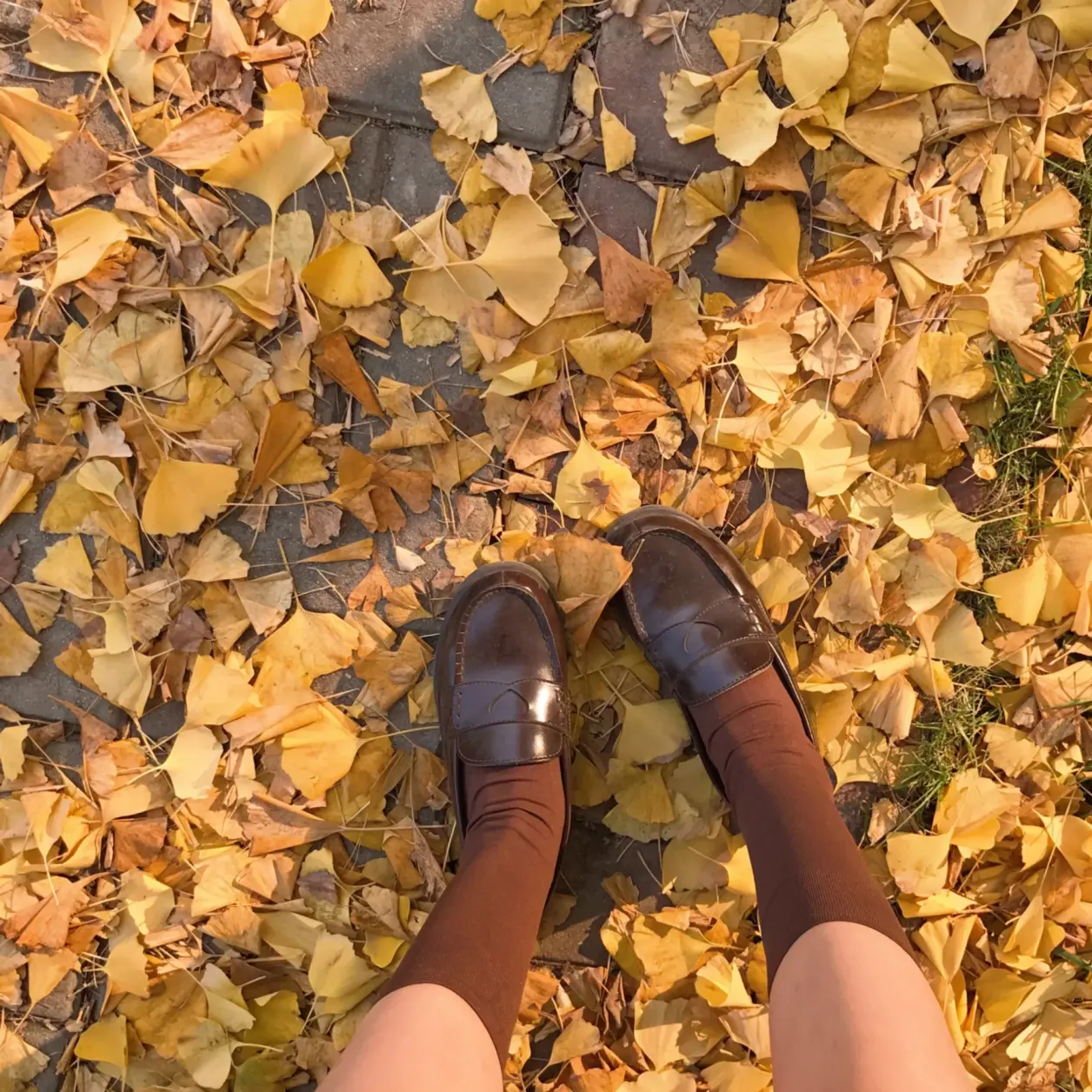 4c62aceab51fba8bf5b27b86c1c20f633494365334866531.jpg@1256w_1256h_web-article-pic.avif_