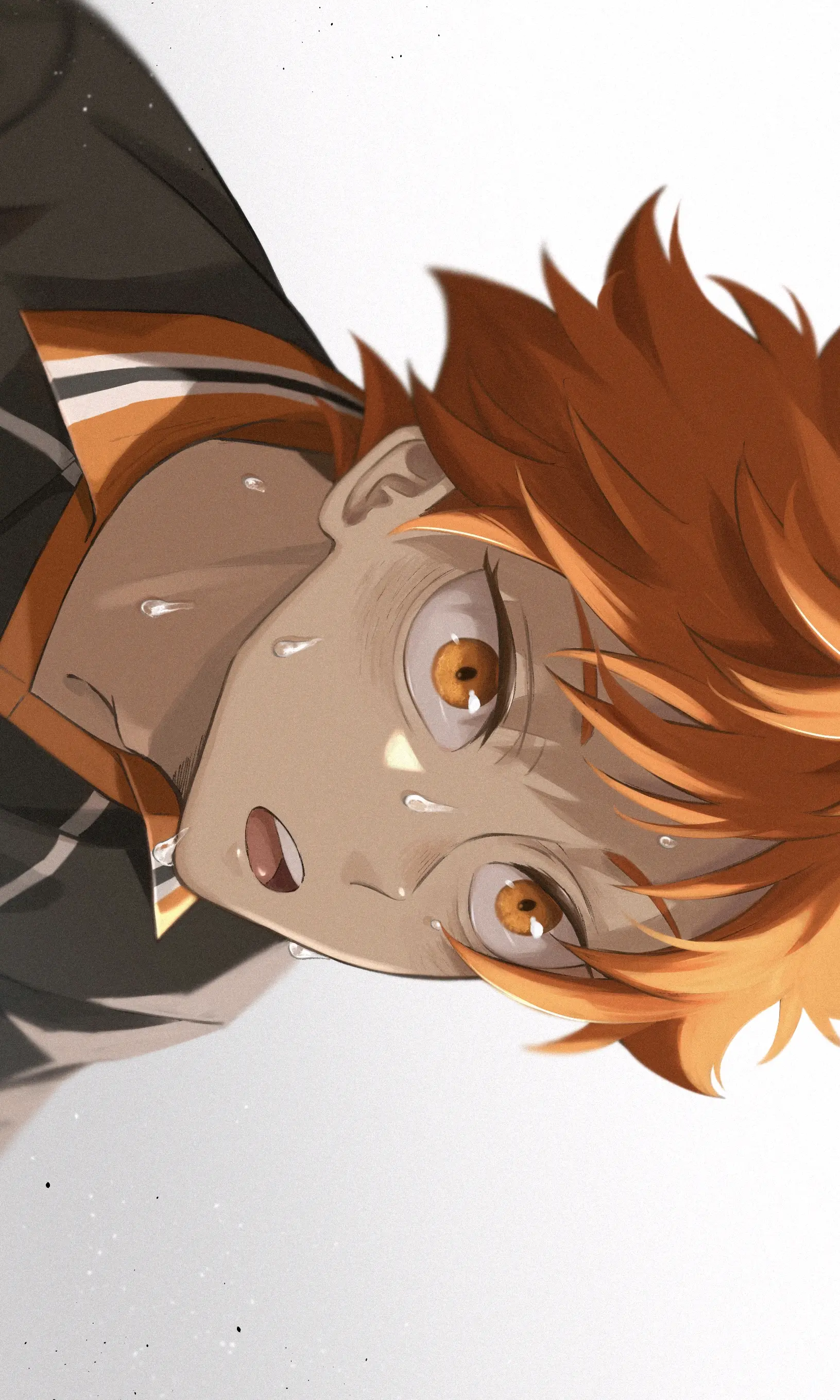 657267f529466d692f2dded35101c2a0235818446.jpg@