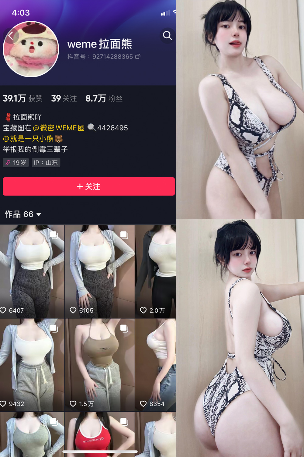 抖音 拉面熊 微密圈 视频 NO.011期 更新至:2024.4.26