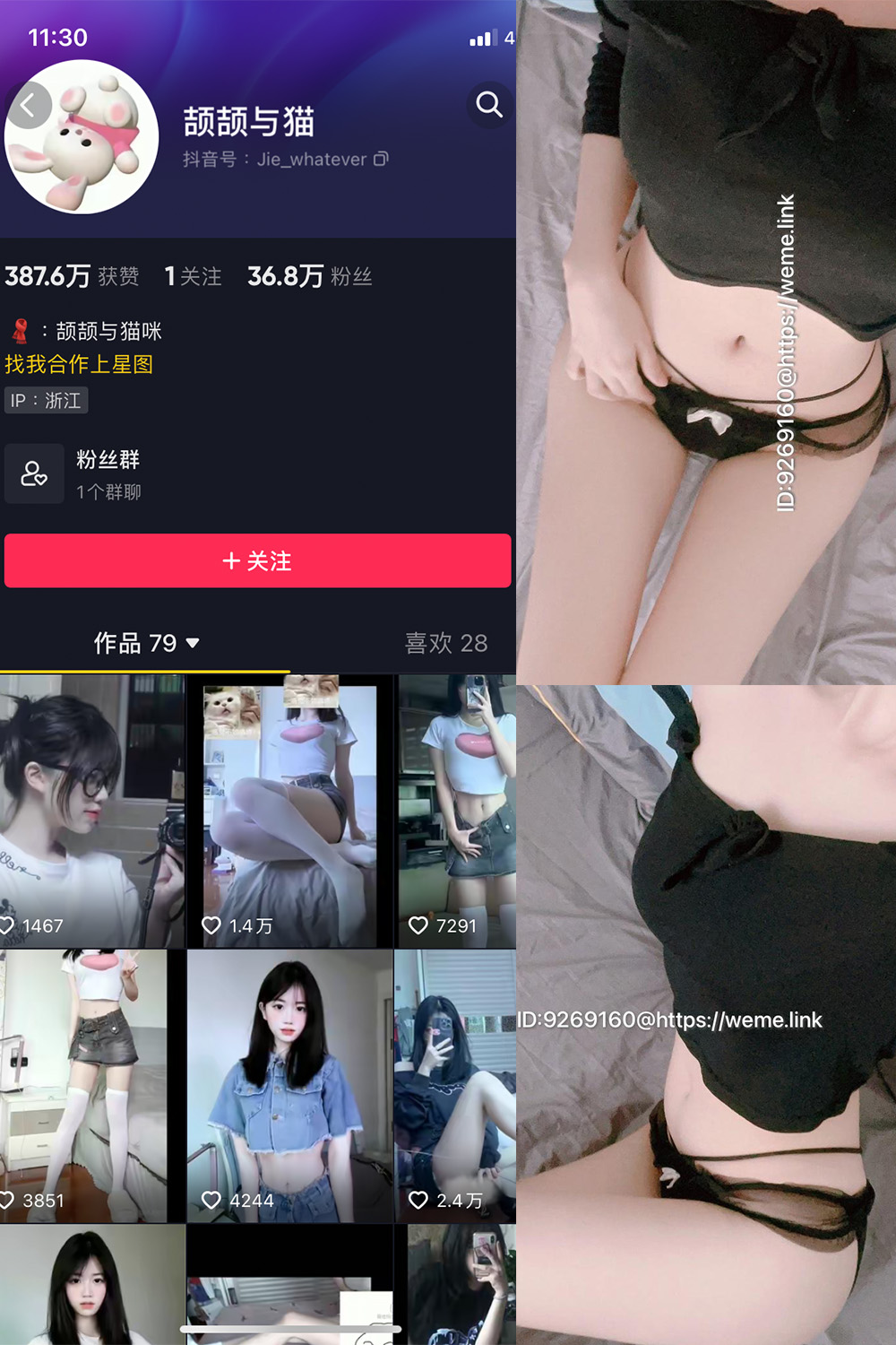 抖音 颉颉与猫 微密圈 NO.004期 更新至：2023.10.14