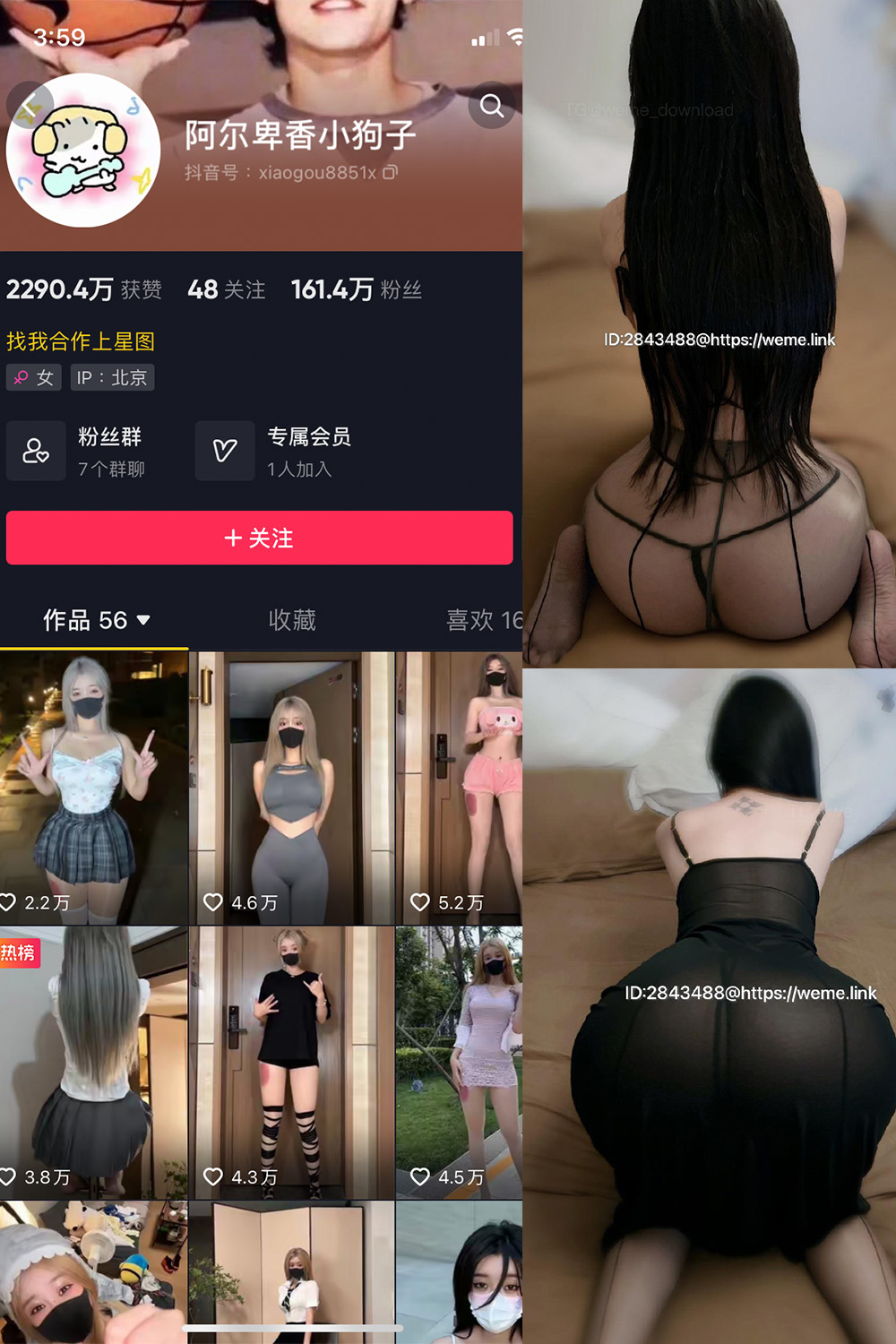 抖音 阿尔卑香小狗子 微密圈 NO.057期 更新至：2024.9.3