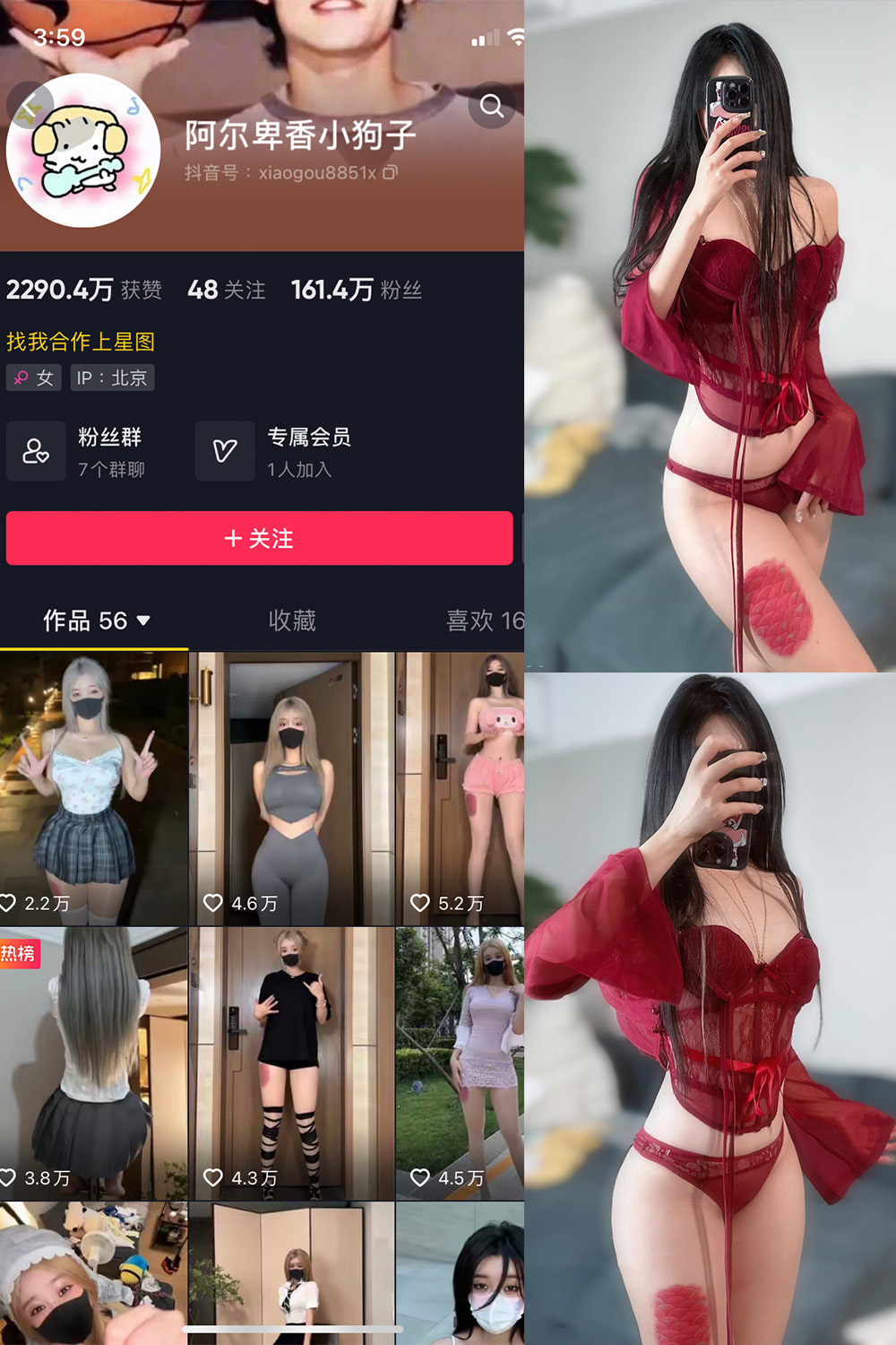 抖音 阿尔卑香小狗子 微密圈 NO.056期 更新至：2024.8.25