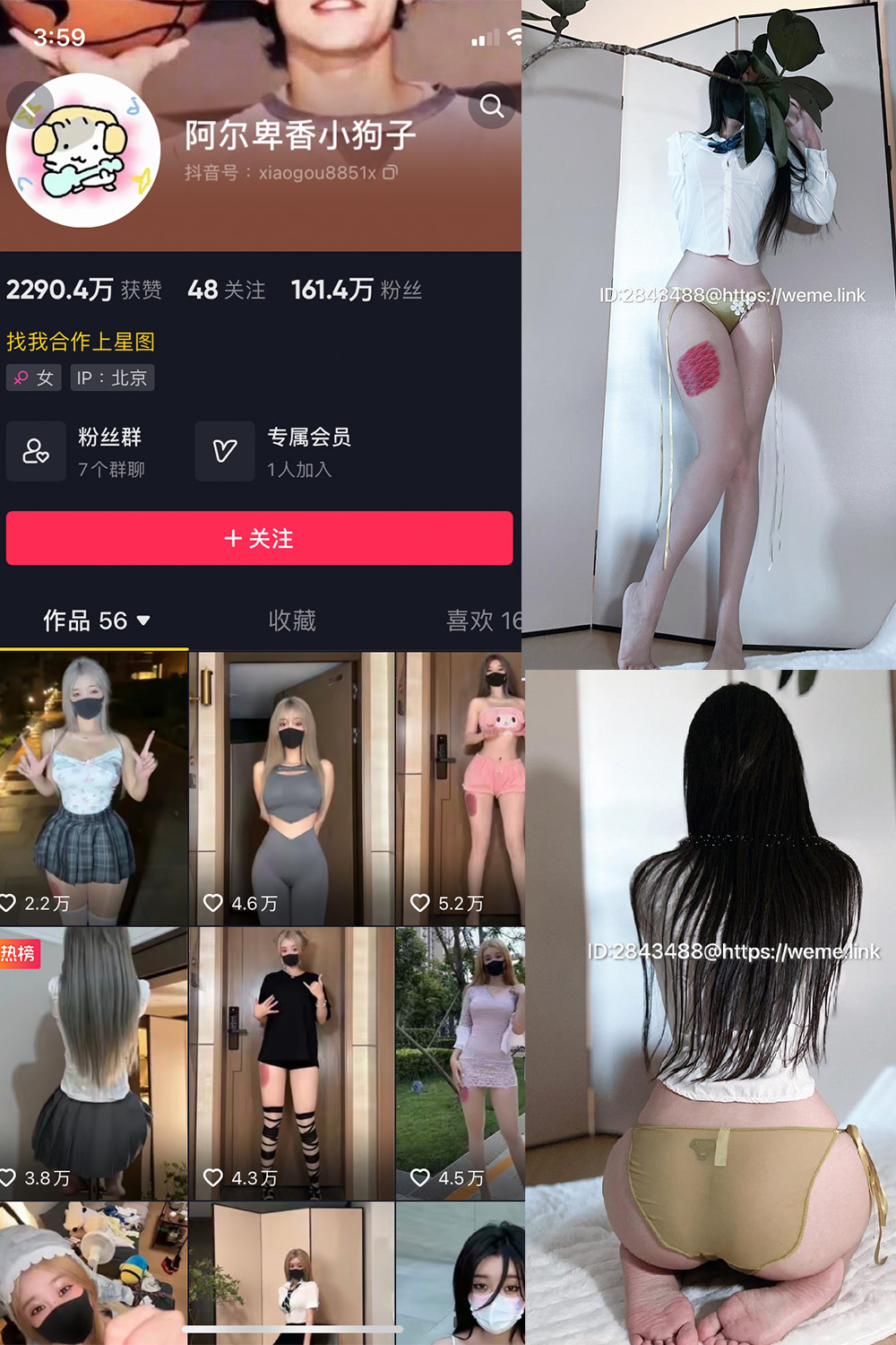 抖音 阿尔卑香小狗子 微密圈 NO.047期 更新至：2024.6.10