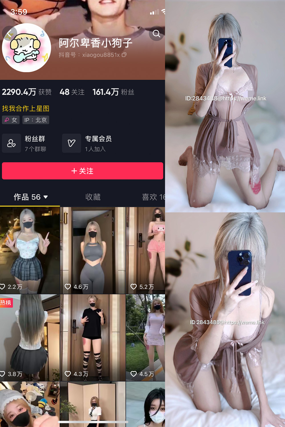 抖音 阿尔卑香小狗子 微密圈 NO.045期 更新至：2026.6.9