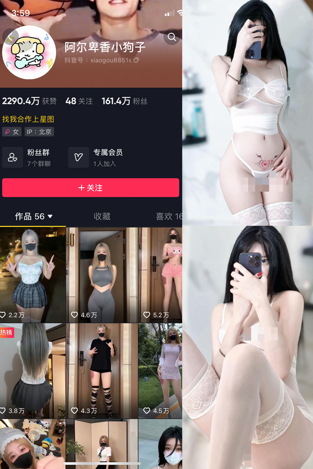 抖音 阿尔卑香小狗子 微密圈 NO.043期 更新至：2024.1.26