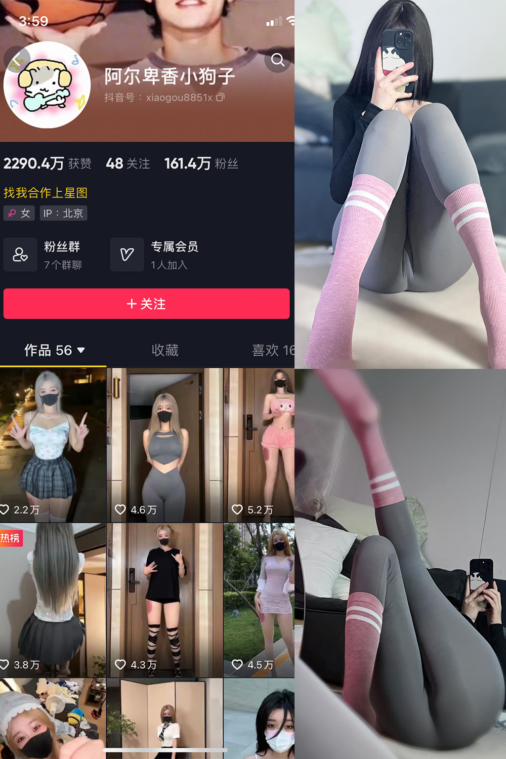 抖音 阿尔卑香小狗子 微密圈 NO.038期 更新至：2023.11.23