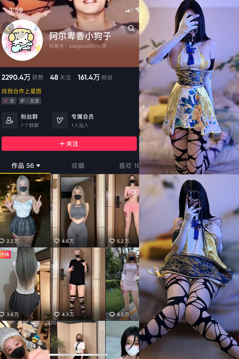 抖音 阿尔卑香小狗子 微密圈 NO.030期