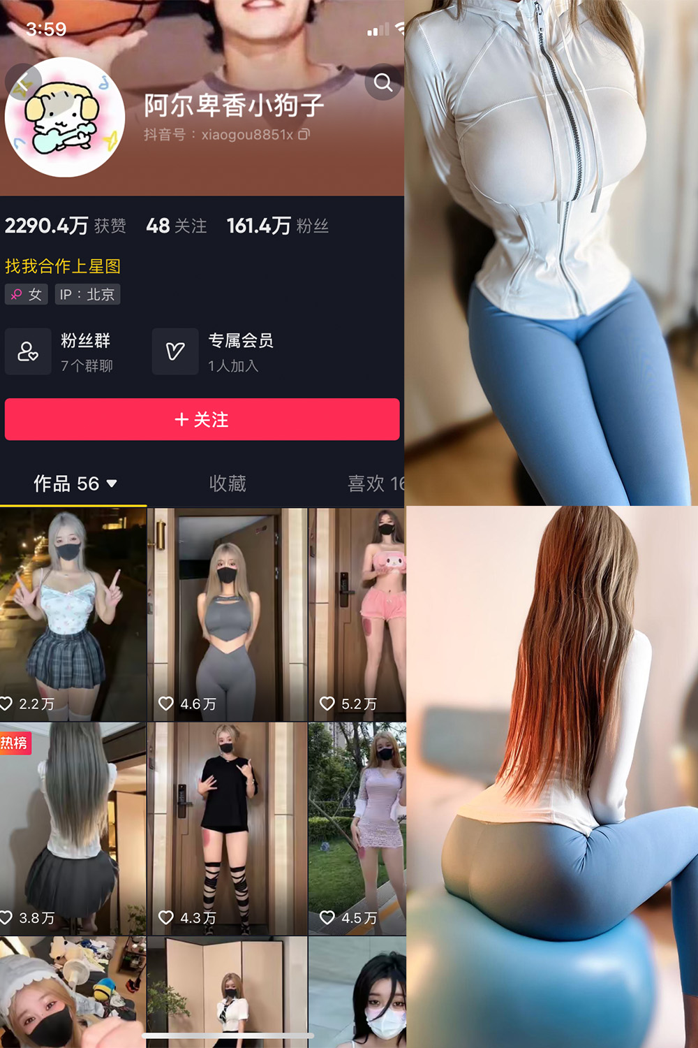 抖音 阿尔卑香小狗子 微密圈 NO.029期 更新至：2023.10.2