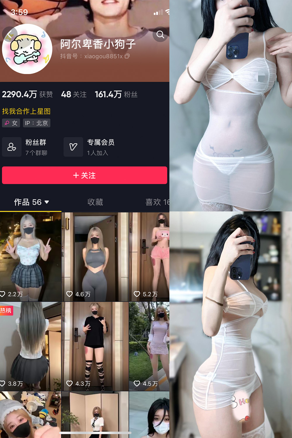 抖音 阿尔卑香小狗子 微密圈 NO.028期 更新至：2023.10.1