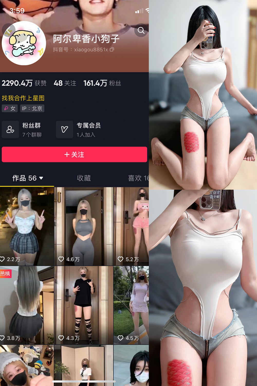 抖音 阿尔卑香小狗子 微密圈 NO.020期 更新至：2023.8.23