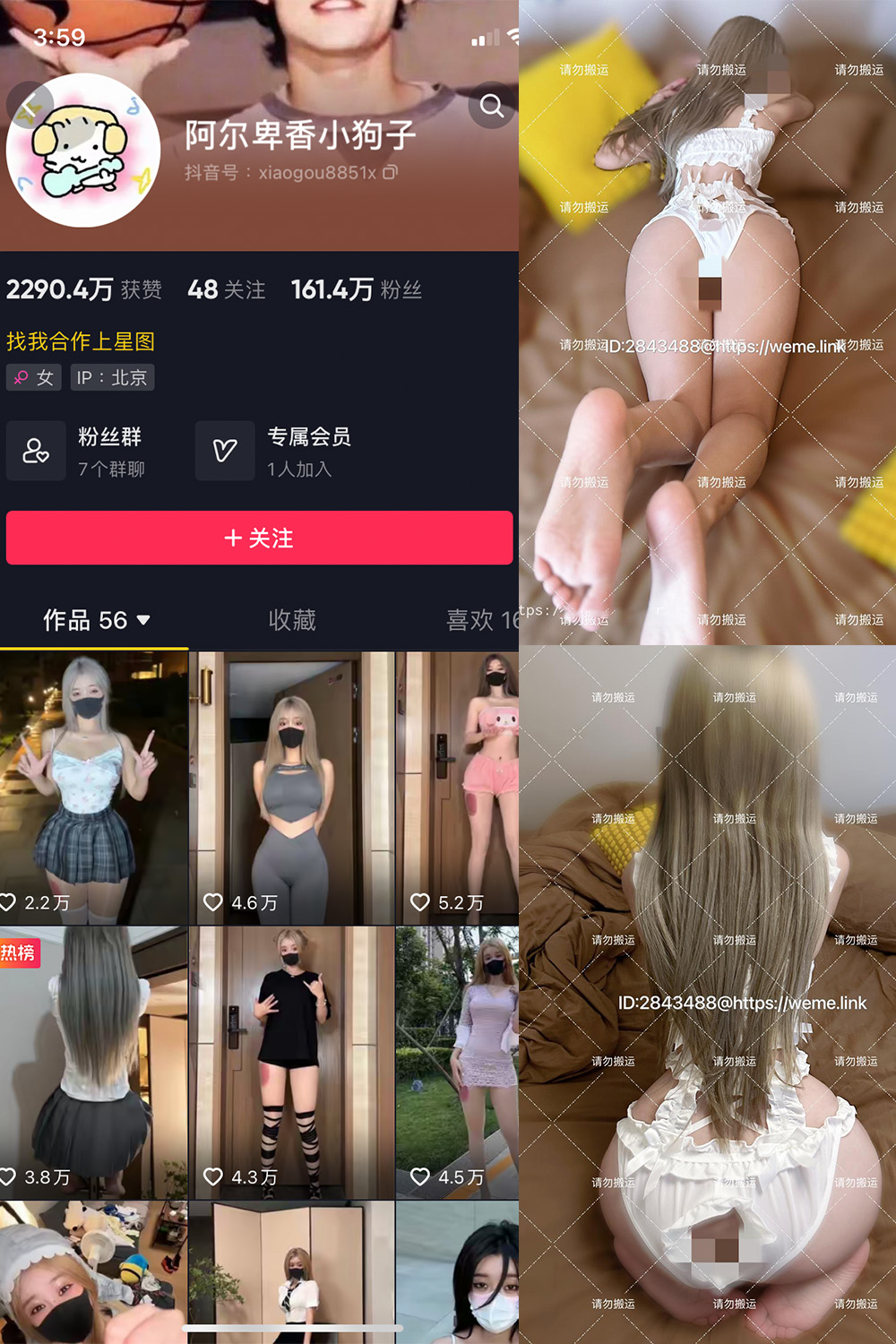 抖音 阿尔卑香小狗子 微密圈 NO.018期 更新至：2023.8.14