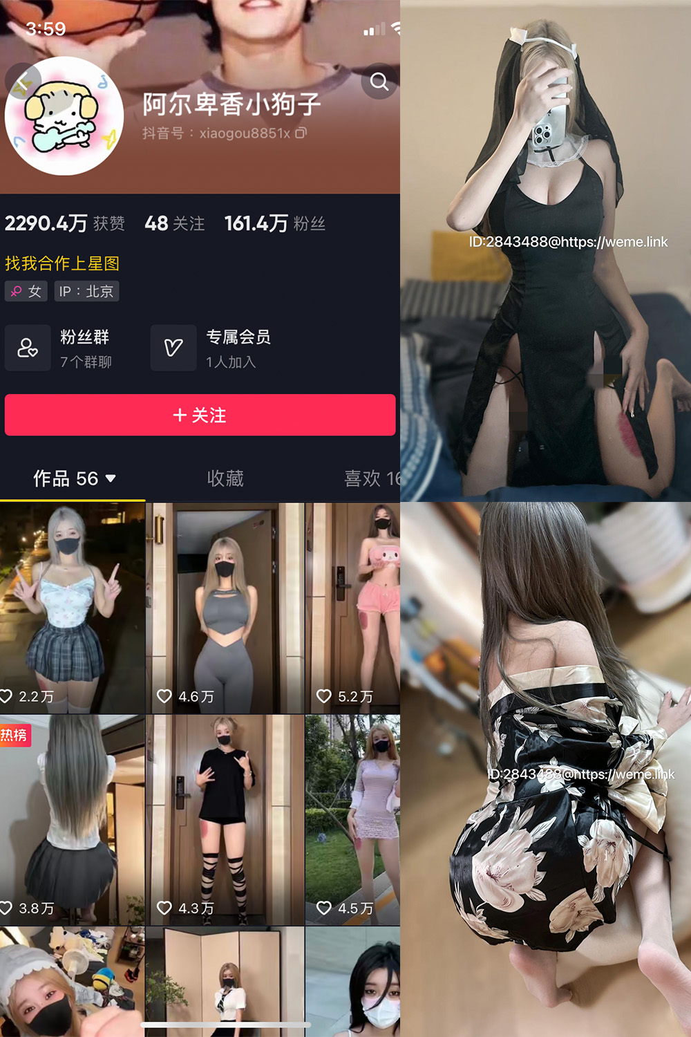 抖音 阿尔卑香小狗子 微密圈 NO.014期