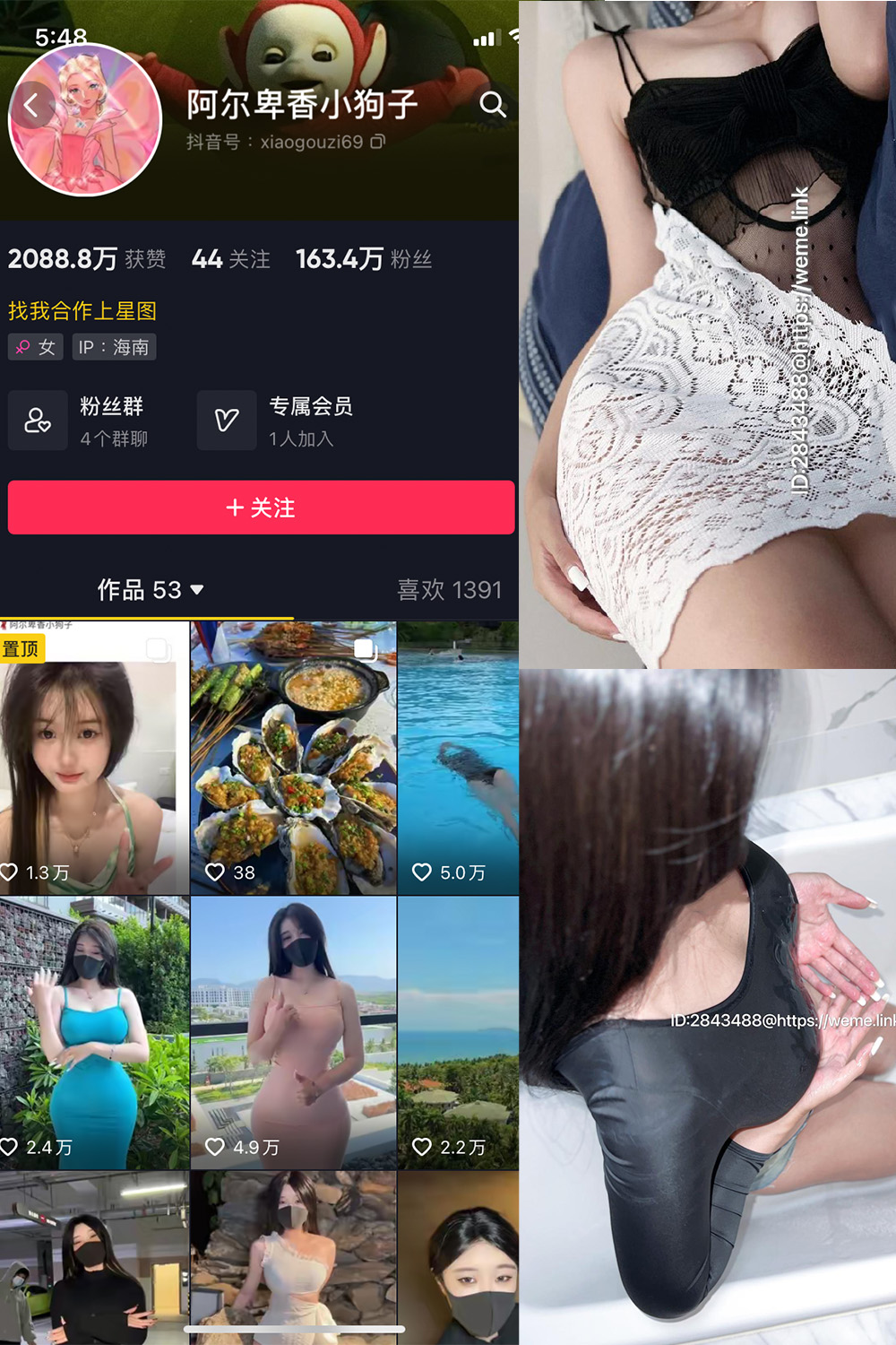 抖音 阿尔卑香小狗子 微密圈 NO.011期 更新至：2023.7.6