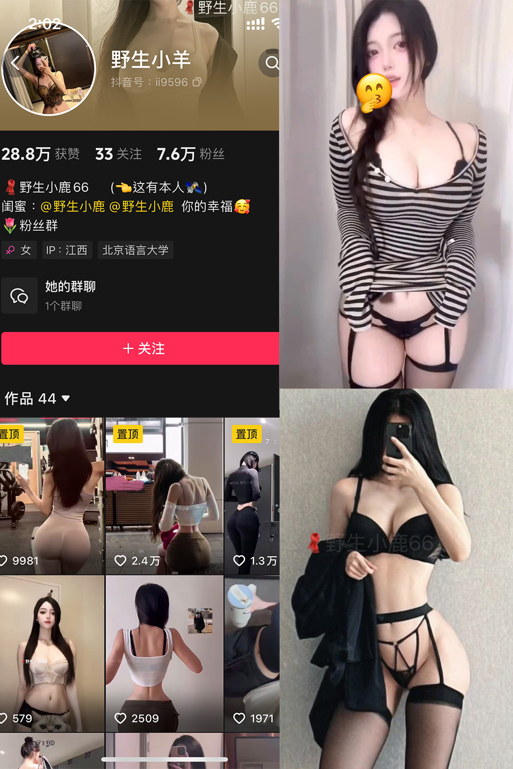 抖音 野生小羊 铁粉空间 NO.006期 更新至：2024.11.19