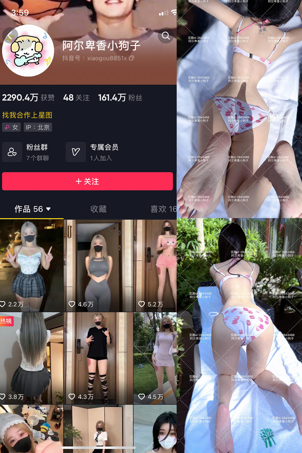 抖音 阿尔卑香小狗子 微密圈 NO.060期 更新至：2025.2.8