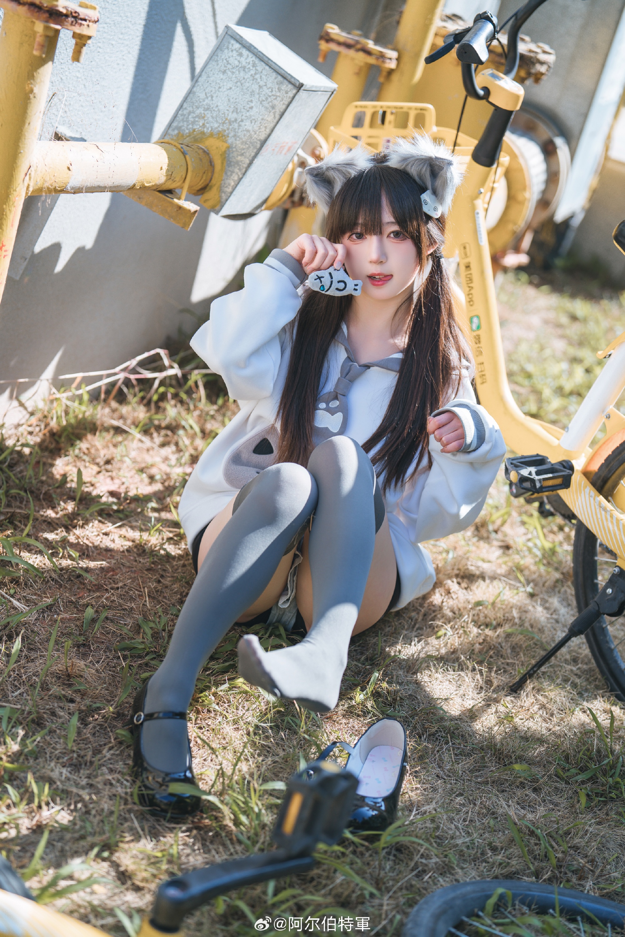 摄影图册 | 走，载你去嗦小鱼干！