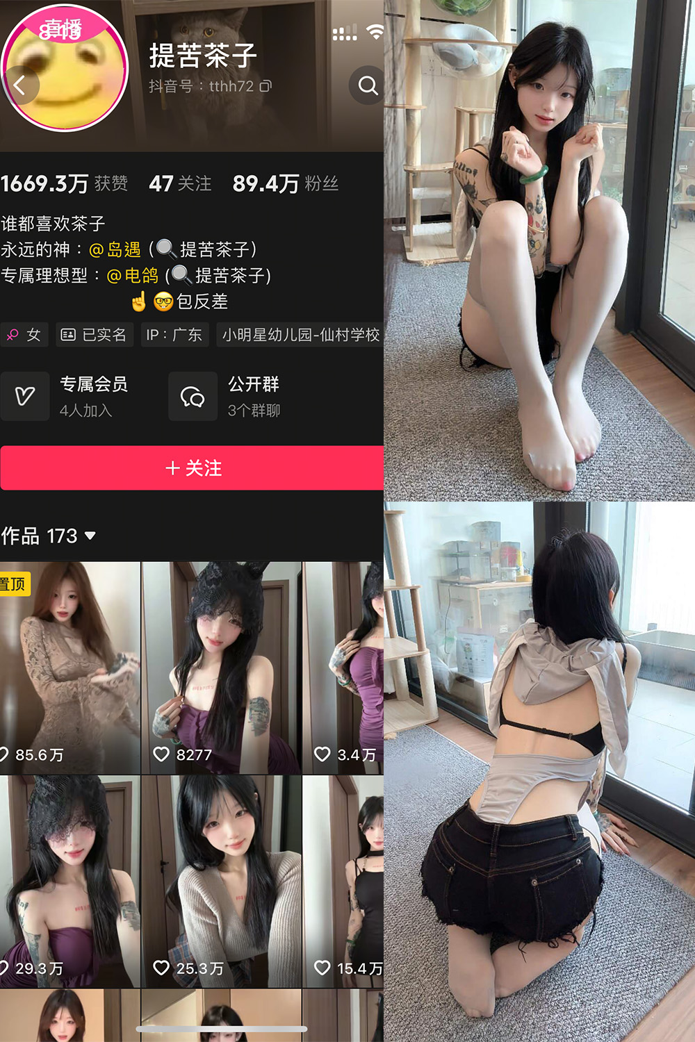 抖音 提苦茶子 岛遇 NO.004期 更新至：2025.7.4