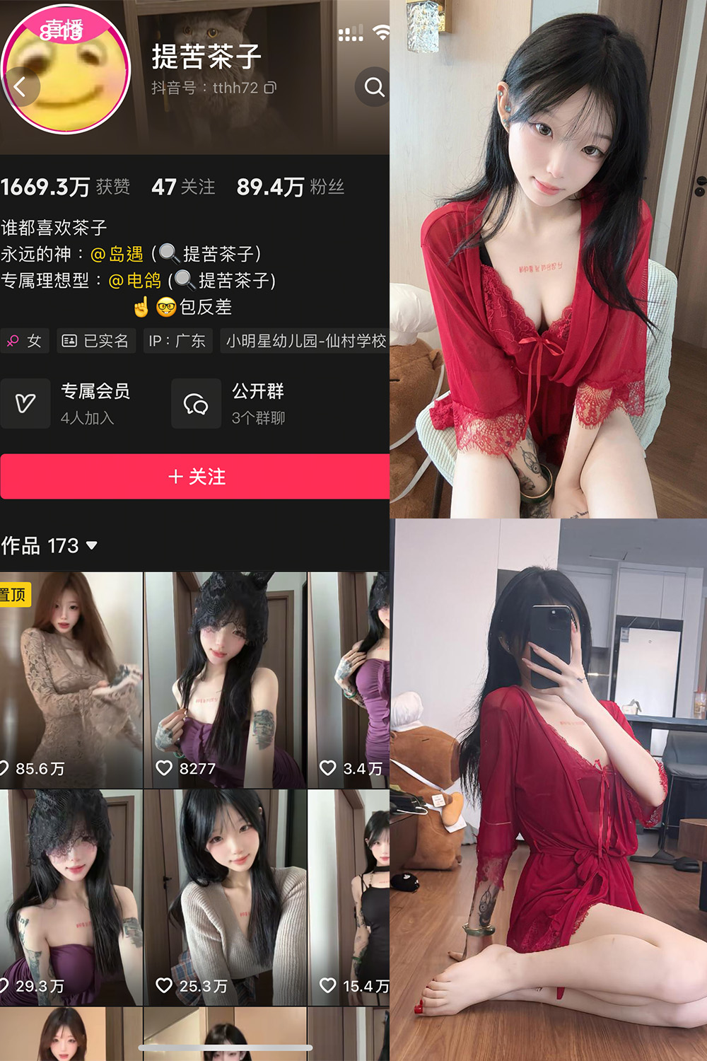 抖音 提苦茶子 岛遇 NO.006期 更新至：2025.8.12