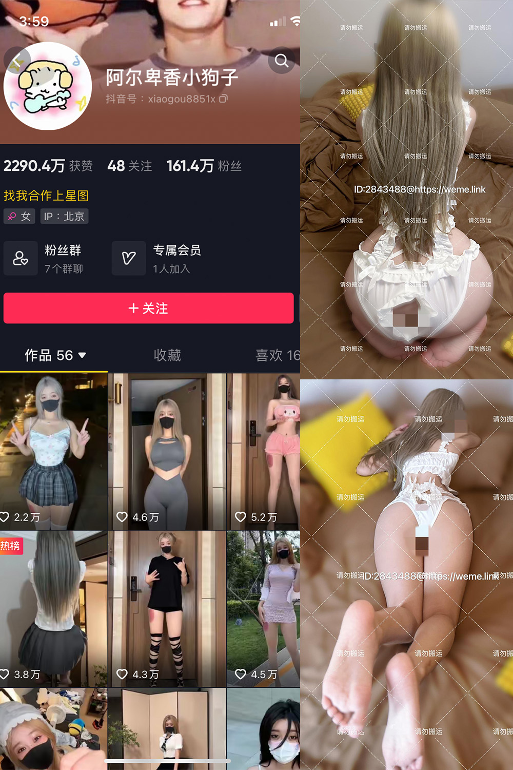 抖音 阿尔卑香小狗子 微密圈 NO.054期 更新至:2024.8.9 - 预览图 1 抖音 阿尔卑香小狗子 微密圈 NO.054期 更新至:2024.8.9 - 预览图 1