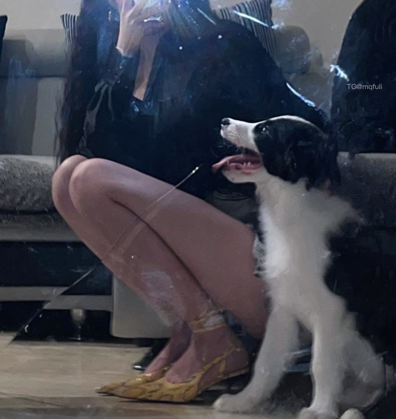 抖音 恩沈一点 铁粉空间 NO.004期 更新至:2024.10.19 - 预览图 32 抖音 恩沈一点 铁粉空间 NO.004期 更新至:2024.10.19 - 预览图 32